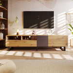 Mueble TV con Doble Espacio de Almacenamiento