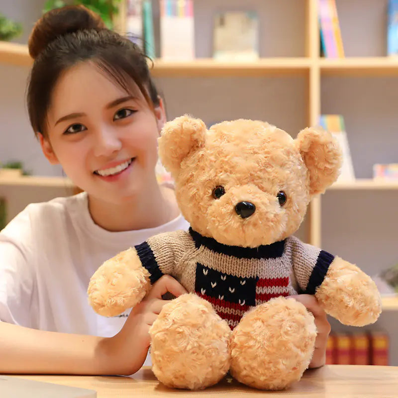 Teddy Bear Plush Toy for Birthdays and Gifts